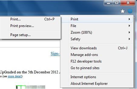 Pinned Window Tools Print Menu